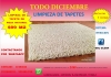 LIMPIEZA-DE-TAPETE-PELO-NATURAL